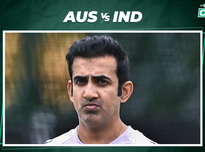 总的来说 总的来说